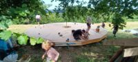 IMG-20260714-WA0008.jpg